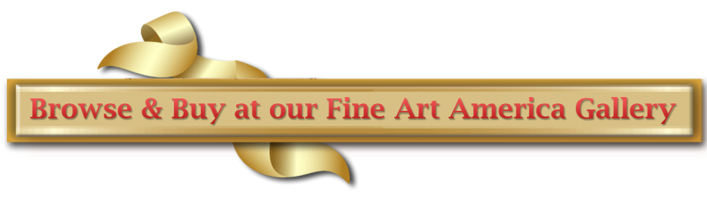 Fine Art America